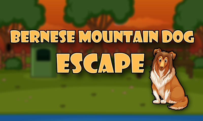 Bernese Mountain Dog Escape - Friv Jogos 360, Friv 360, Friv 2017, Friv 2018